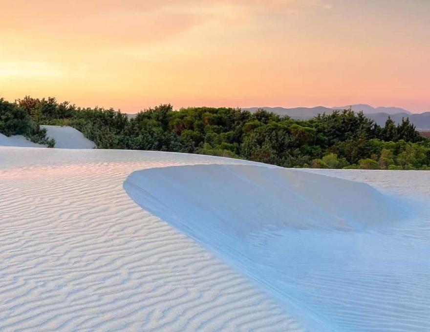 Dune Porto Pino